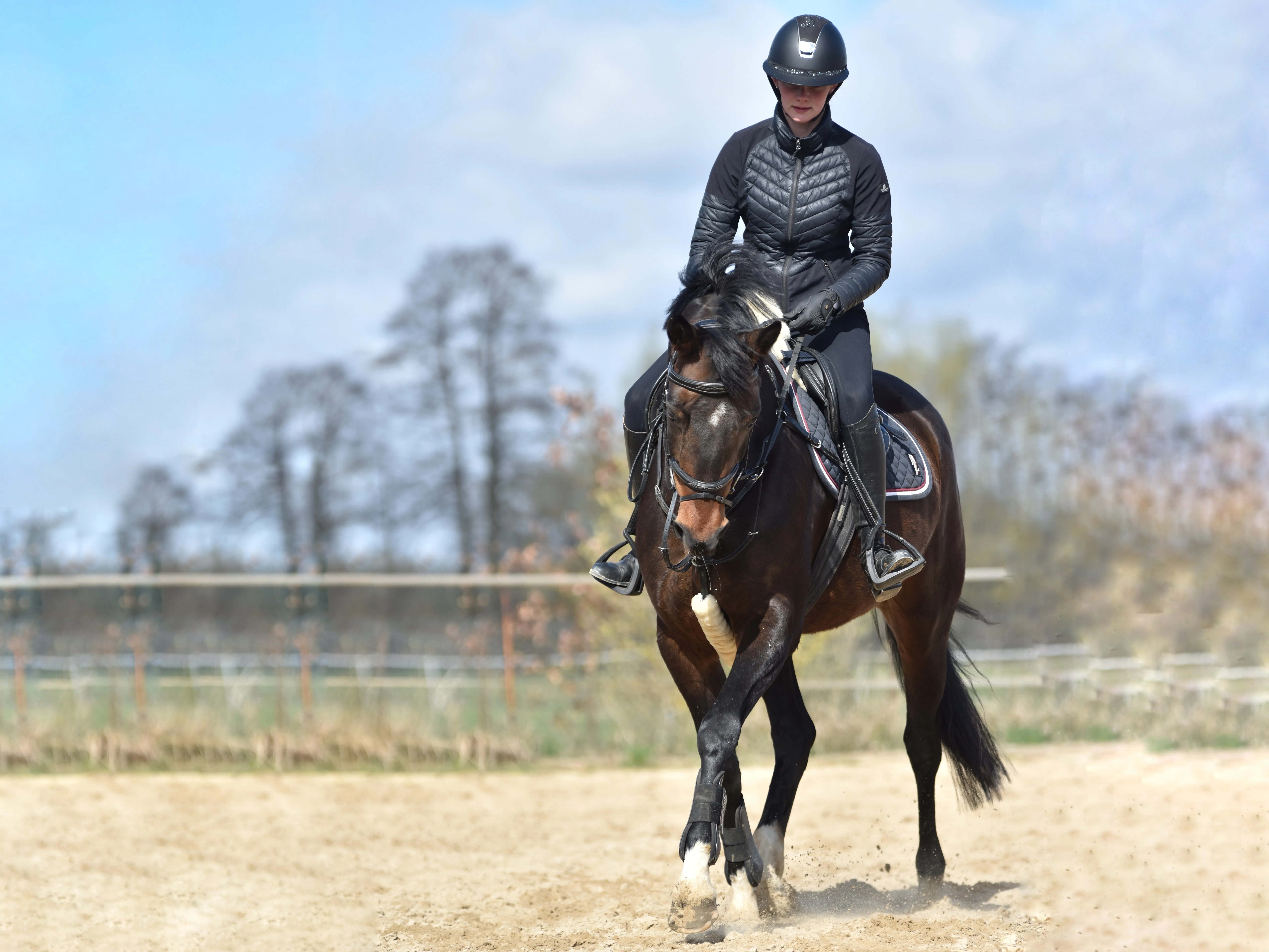 Reiterin auf einem dunkelbraunen Pferd auf dem Reitplatz